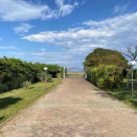 Villa Rosella Appartamento 2 - Con Piscina - 150 M Dal Mare Casa Margherita Exterior photo